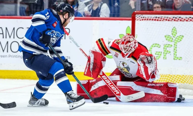 Postava, Griffins blank Moose in Game 2 | TheAHL.com