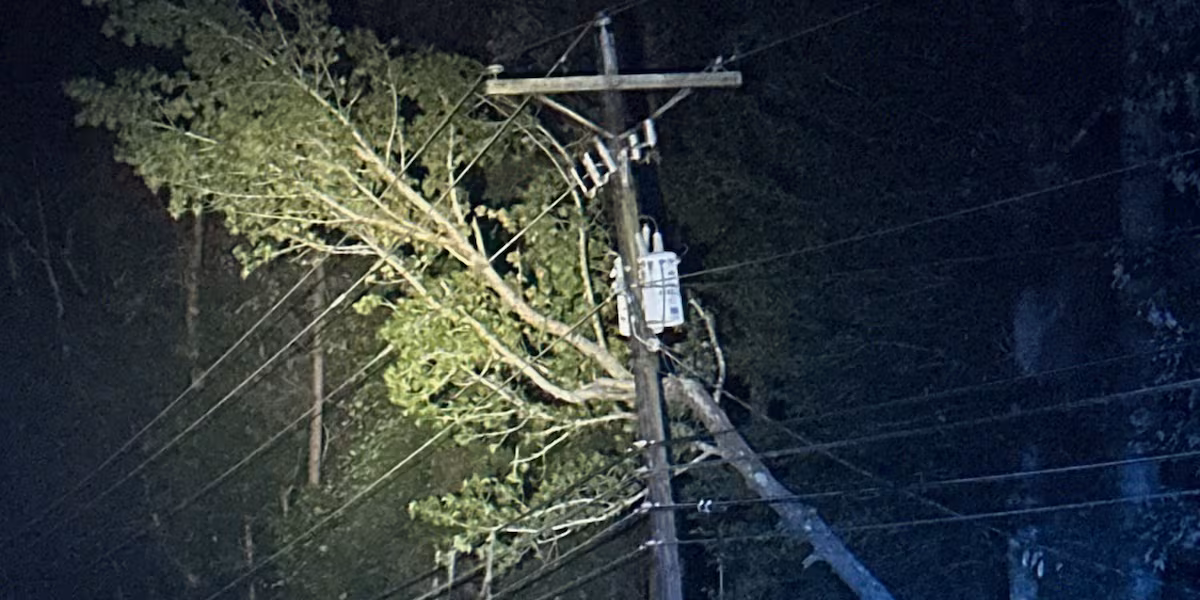 Power outage restored in Mount Pleasant after tree fell on power line