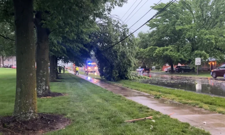 Power outages, downed trees reported in Columbia
