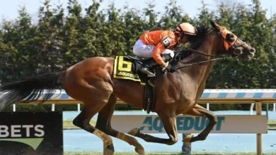 Preakness 2026: Analyzing the 2-day, all-stakes Pick 5