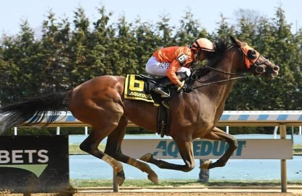 Preakness 2026: Analyzing the 2-day, all-stakes Pick 5