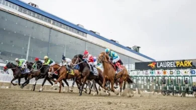 Preakness 2026: Contenders update ahead of Monday's draw