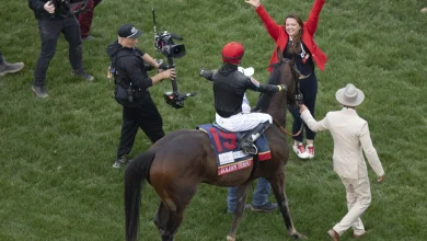 Preakness 2026: Golden Tempo to skip race; Ocelli jumps in; Crude Velocity a maybe - DRF