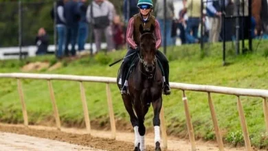 Preakness 2026: See the updated win odds from Laurel Park