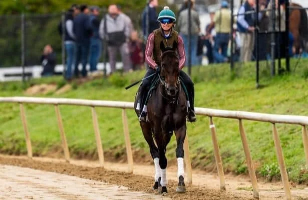 Preakness 2026: See the updated win odds from Laurel Park