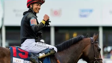 Preakness Has 16 Possible Despite Lack of Derby Runners