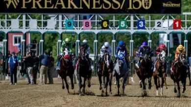 Preakness Stakes 2026: Posts, jockeys and morning-line odds