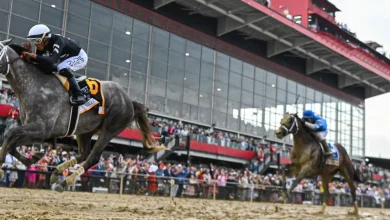 Preakness Stakes 2026: Win, place, show, exacta, trifecta and superfecta picks