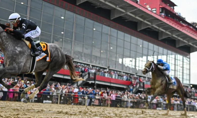 Preakness Stakes 2026: Win, place, show, exacta, trifecta and superfecta picks