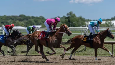 Preakness Stakes will have a bit of everything, except Kentucky Derby champ