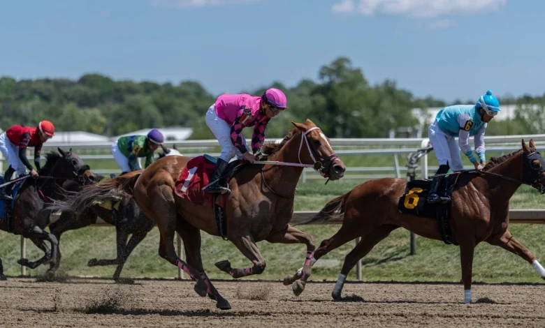 Preakness Stakes will have a bit of everything, except Kentucky Derby champ