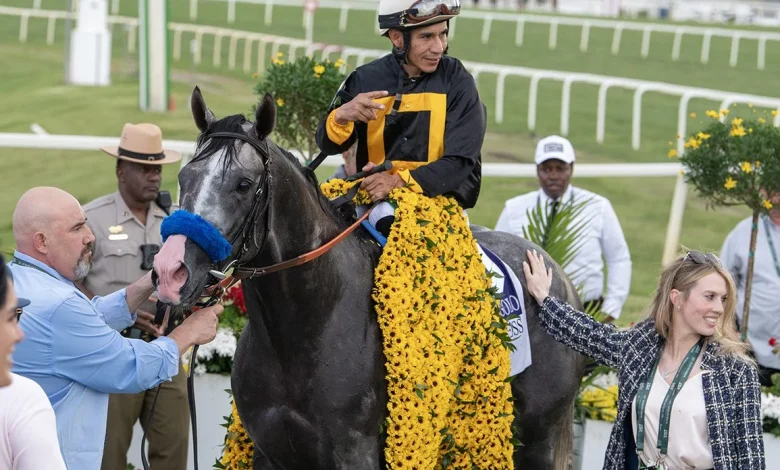 Preakness Winner Napoleon Solo Sold, Still To Target Haskell