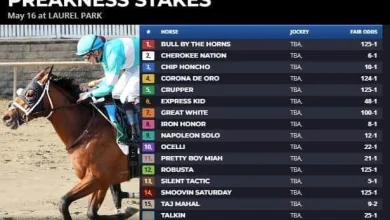 Preakness fair odds: Female trainer has most likely winner