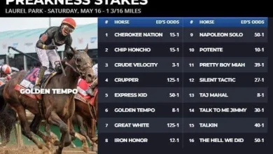 Preakness fair odds: Golden Tempo would face a tough test