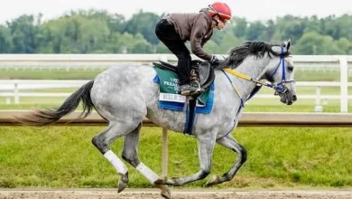 Preakness notes: Updates on the contenders with 2 days to go