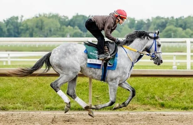 Preakness notes: Updates on the contenders with 2 days to go