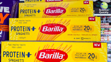 Protein is trending—but do you actually need more?
