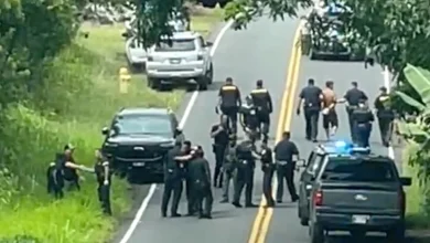Puna residents seek answers after shocking Hawaii killings