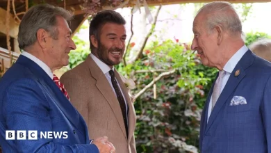 RHS Chelsea Flower Show: Charles and Camilla view gardens as gnome ban lifted