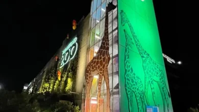Raise the flags: San Antonio Zoo makes mostly-friendly playoff bet with Oklahoma City Zoo