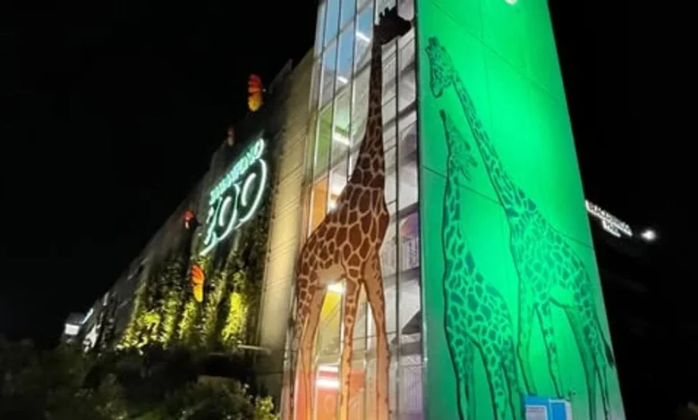Raise the flags: San Antonio Zoo makes mostly-friendly playoff bet with Oklahoma City Zoo
