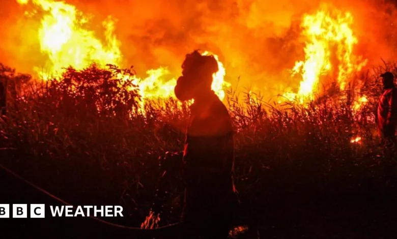 Record global temperatures possible as chance of a 'super El Niño' grows