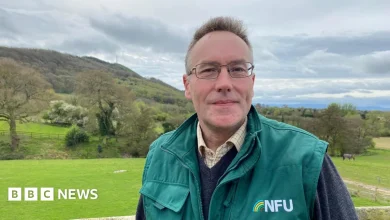 Red diesel duty cut a good start, says farmer