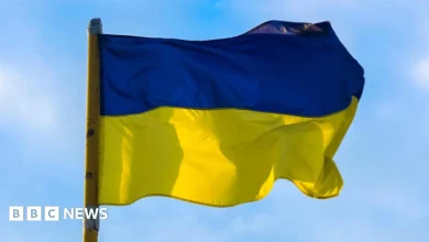 Reform Wales leader Dan Thomas backs call to remove Ukraine flag outside Senedd