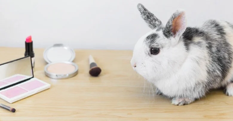 Reglamentan prohibición total de pruebas en animales con cosméticos