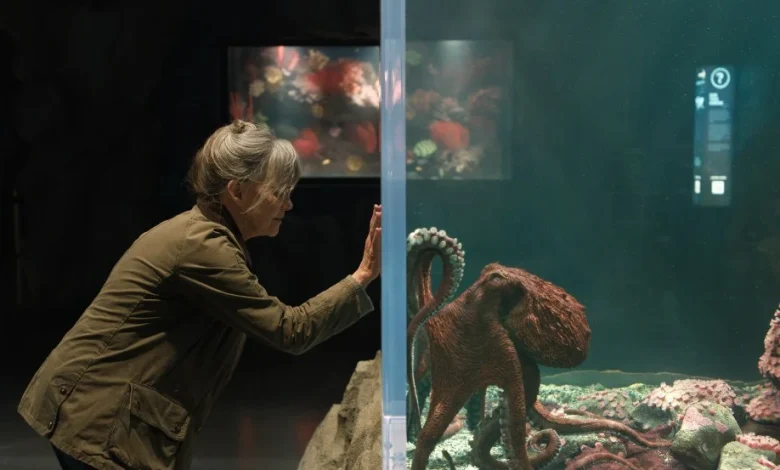 'Remarkably Bright Creatures' Review: Sally Field, Lewis Pullman & Marcellus