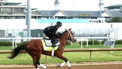 Renegade, Further Ado Favored in Early Derby Wagering