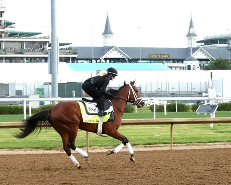 Renegade, Further Ado Favored in Early Derby Wagering