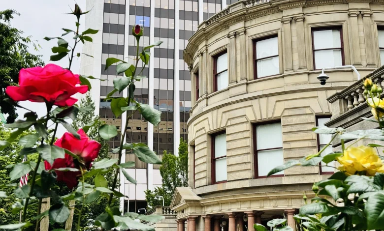 Reporting Live (Continued): City Council’s Contentious Budget Meeting