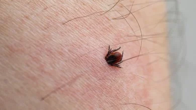 Residents reminded to guard against ticks