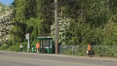 Residents shaken after 15-year-old assaulted near Northgate bus stop; suspect in custody