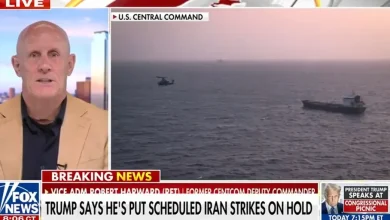 Retired vice admiral on Iran standoff: Trump has 'time on his hands'