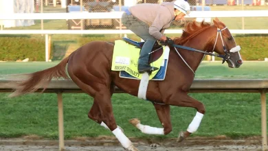 Right To Party Scratched From Kentucky Derby; Robusta Gets In