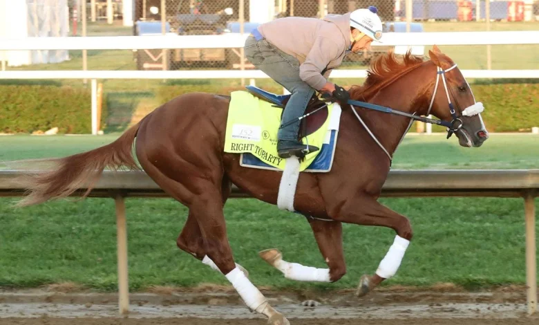 Right To Party Scratched From Kentucky Derby; Robusta Gets In