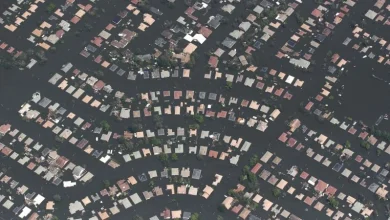 Rising seas will swallow New Orleans. People need to start relocating now, scientists say