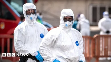 'Risk to public is low,' officials say after 18 US passengers return from hantavirus ship