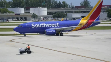 Robot Passenger Delays Southwest Flight