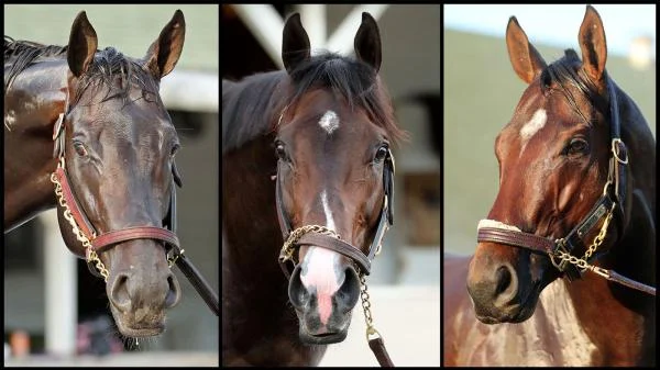 SLIDESHOW: Meet the 2026 Preakness Stakes Horses