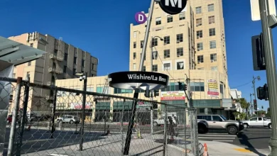 Salsa classes, pickleball and more: Metro celebrates D Line expansion at new stations