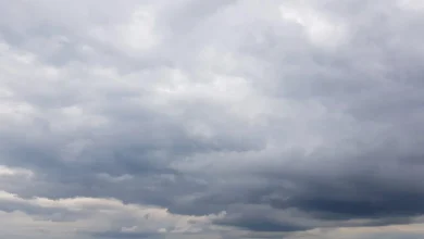 Salvador deve ter um dia com chuva em áreas específicas nesta terça-feira (12)