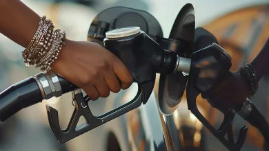 Same Shock, Different Roads? A K-Shaped Pattern at the Pump