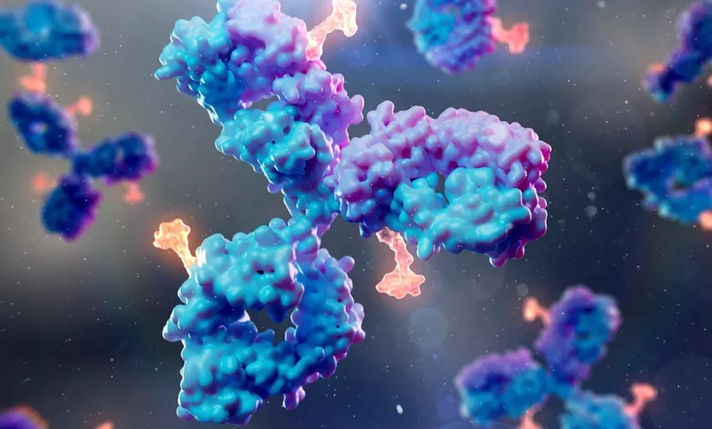 Scientists Develop New Antibody For Virus That Infects 95% of People