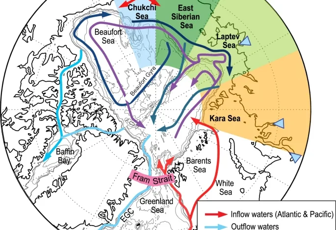Sea ice loss drives a regime shift in Arctic Ocean nitrogen biogeochemistry | Communications Earth & Environment