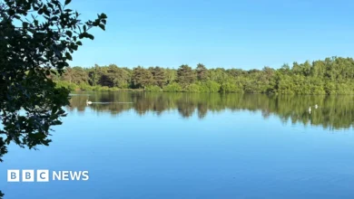 Search for teenager missing at Swanholme Lakes in Lincoln