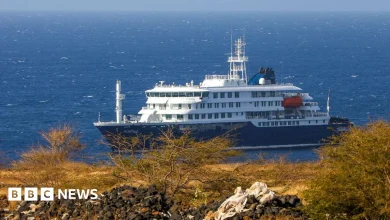 Second hantavirus case confirmed after three die in suspected cruise ship outbreak