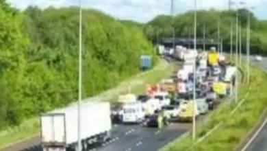 Section of M2 shut after crash between lorry and pedestrian